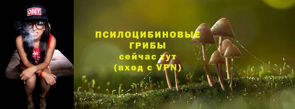 2c-b Белокуриха