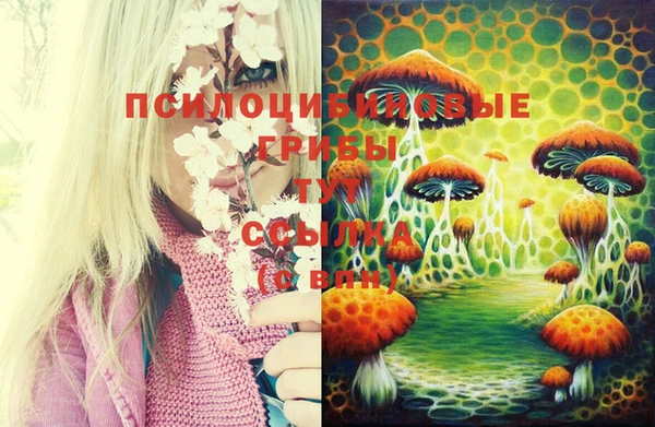 2c-b Белокуриха