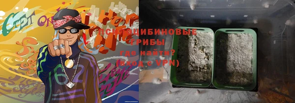 2c-b Белокуриха