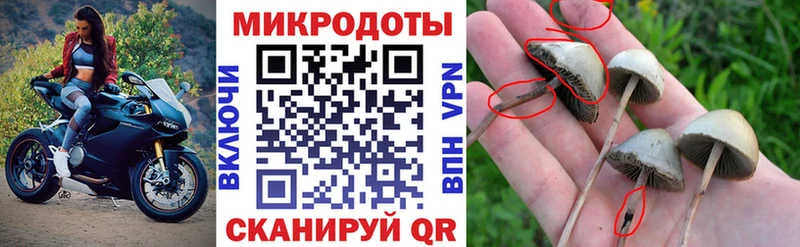 как найти закладки  Краснослободск  Псилоцибиновые грибы мицелий 